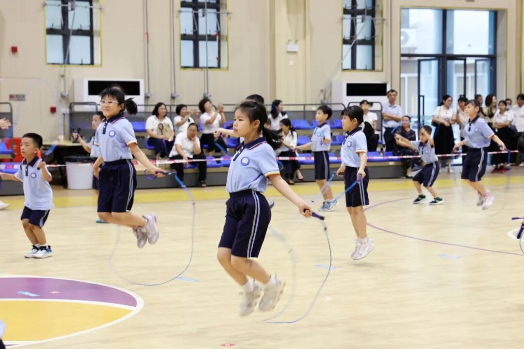 img, msn, 抗赛与篮球 img, msn, 抗赛与篮球